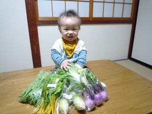 ishiwatasan
