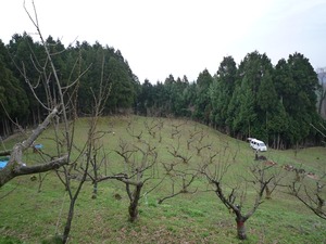 P1030791a