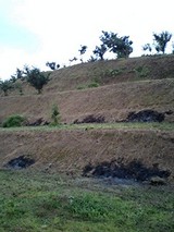 84f5e43c.jpg