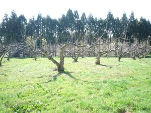 P1040406