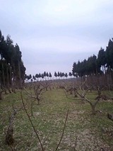 ba08e030.jpg