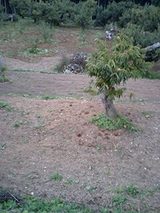 c29b41c9.jpg