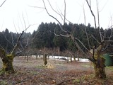 d715d947.jpg
