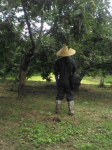 d9e09c33.jpg