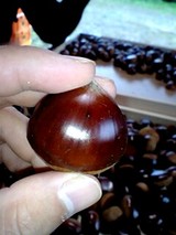 e2df7668.jpg