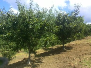 e5583701.jpg