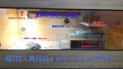 保温球 暖突 吊り下げ レオパ初心者 ヒョウモントカゲモドキ グラス