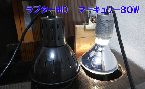 セルフバラスト水銀ランプとメタハラの比較検証！ : 悠々カメライフ