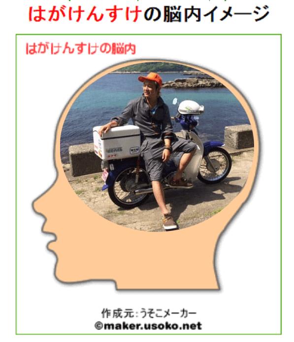 脳内