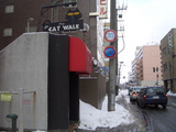 cat walk