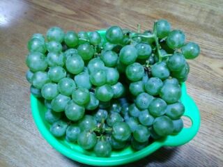 IMG_20180828_180325_