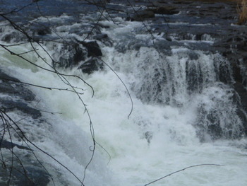P1030882