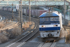 EF210_114_120129
