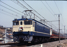 1118odoriko