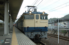 PF1113