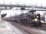 97b80025.jpg