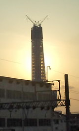8cf589f4.jpg
