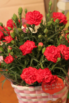 sIMG_6792