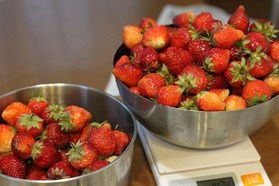 s-IMG_4360