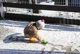 雪
