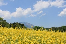 絵になる