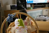 テレビを見るゆいか