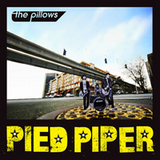PIED PPIPER