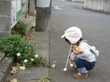 これは何だ?