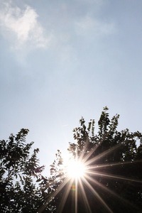 s-IMG_3052