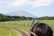 トロ馬車