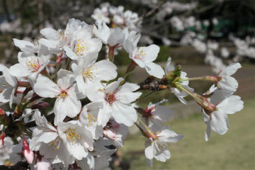 sIMG_3819