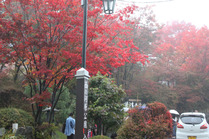 sIMG_0784