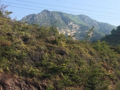 紫煙水晶を探しにゆこうっ！！（広島県江田島市編その2