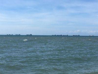 IMG_3535