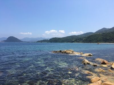 IMG_3480