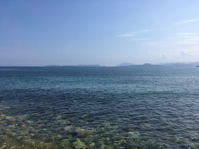 IMG_3496