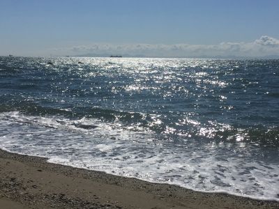 IMG_3712