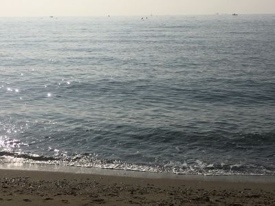 IMG_2569