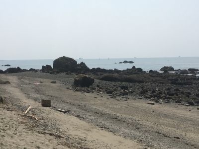 IMG_1918