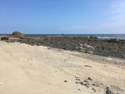 IMG_1959