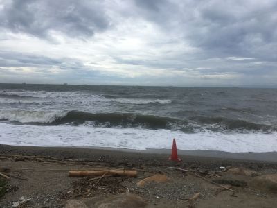 IMG_3540