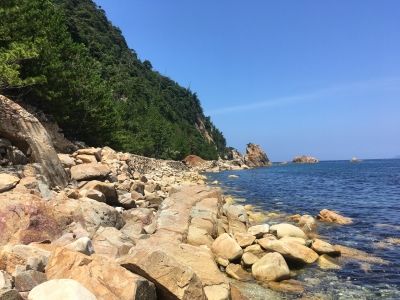 IMG_3479