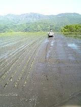 3c89a715.jpg