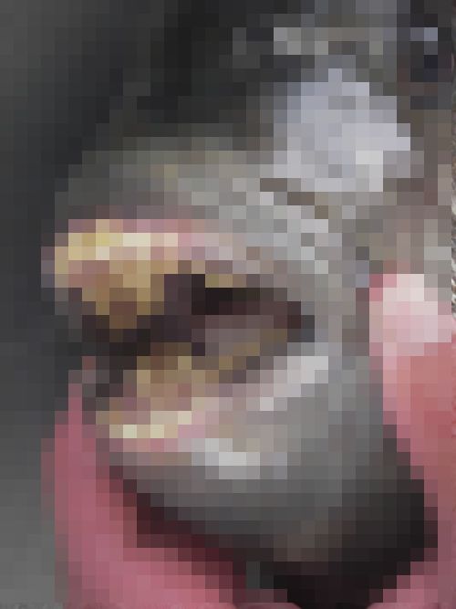 138