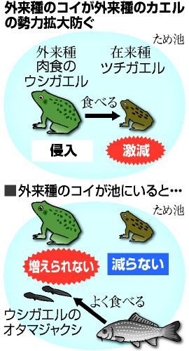 1_1