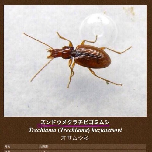BwQTLJjCQAEqsIK