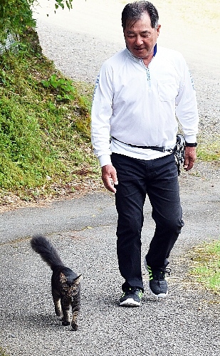忠猫「アユ」、飼い主を送迎 田辺市龍神村