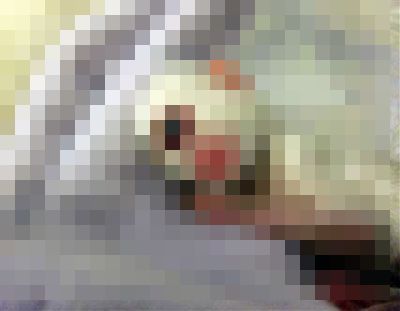 391_1