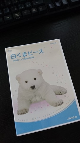 Amazon.co.jp: 白くまピース 日本初・人工哺育の全記録