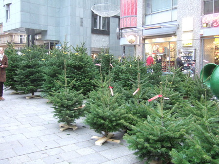 DSCF9589